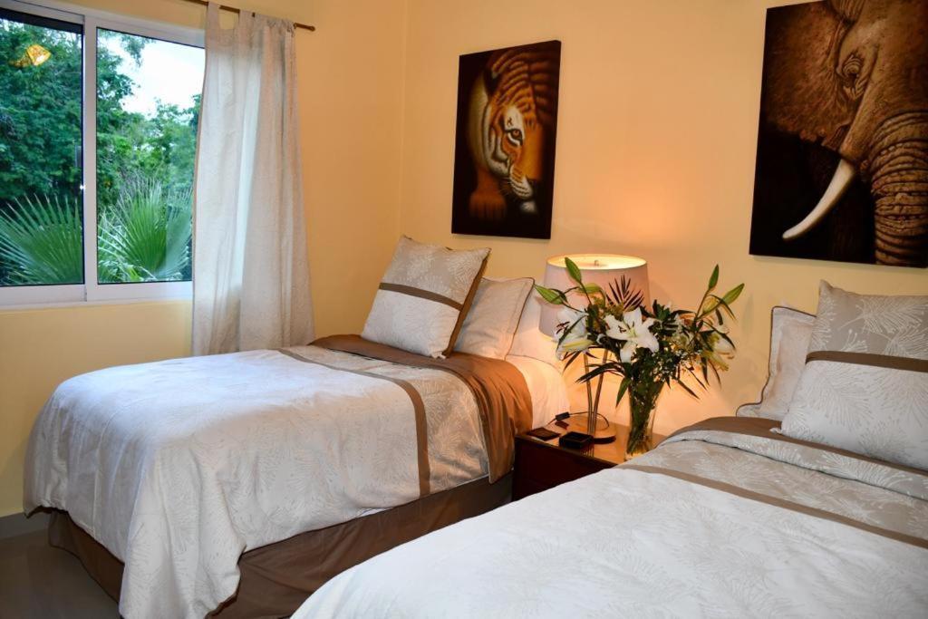 Villa Casa Sol 3 & 4 Bedroom With Swimming Pool Close To The